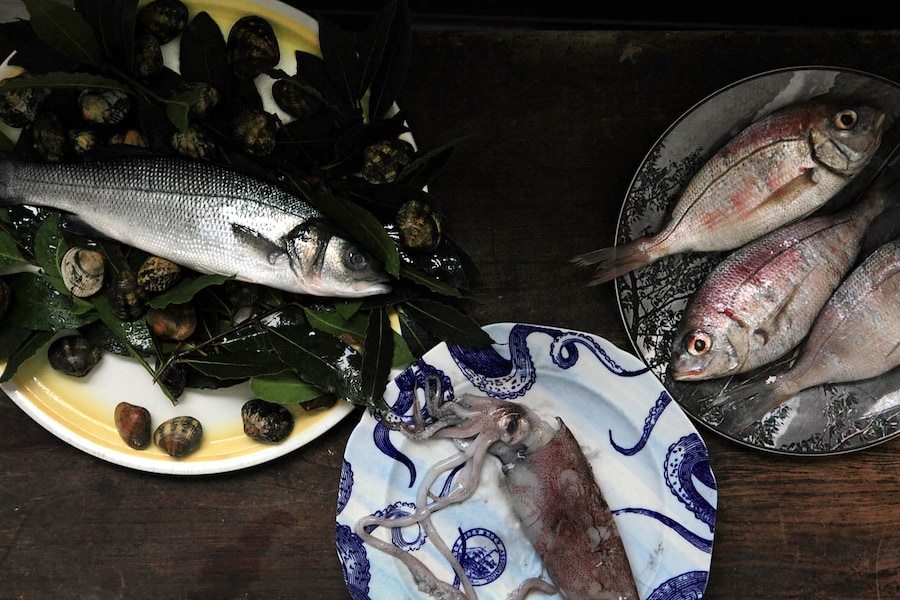 Cornish Sea Bass, Squid, and snapper from FC Soper