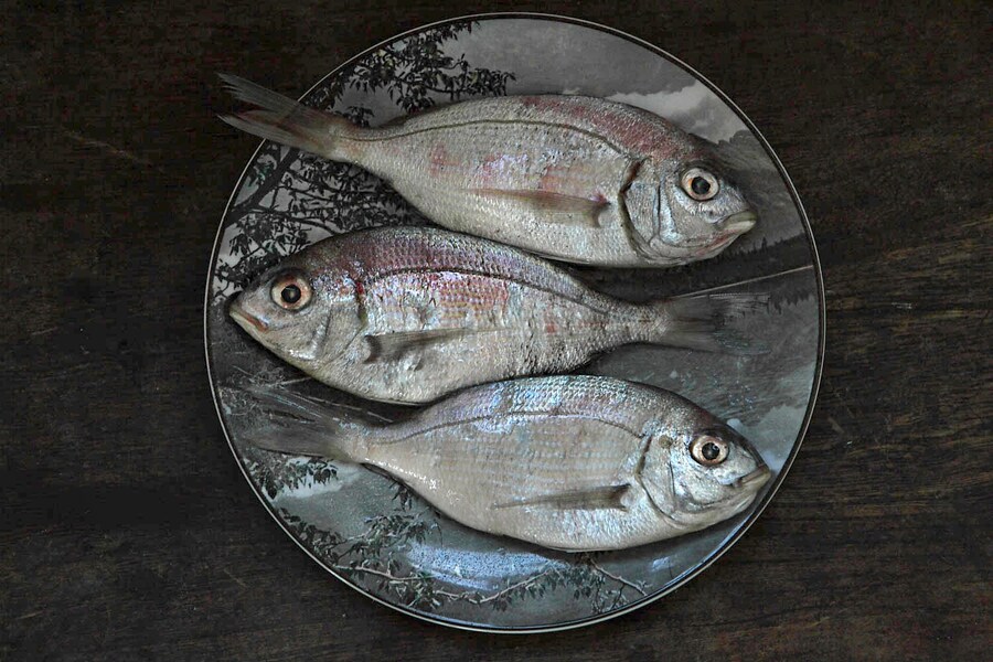 Snapper from FC Soper