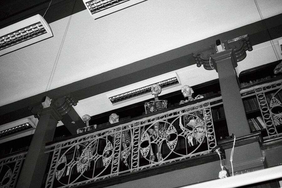 The Grant Museum of Zoology