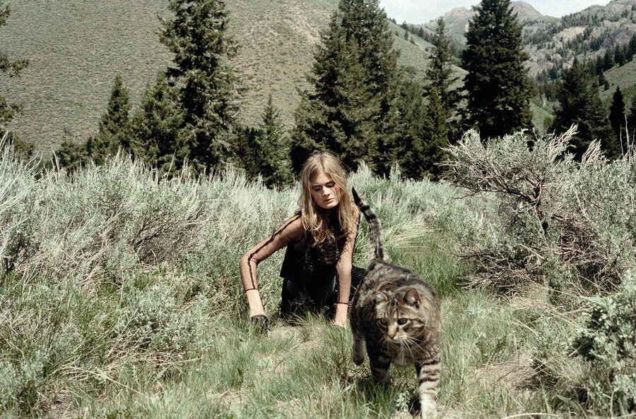 A cat in AnOther Magazine A/W12