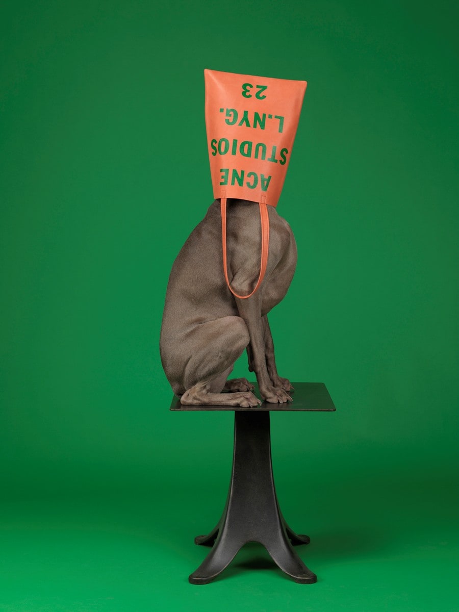 Acne Studios Archive | AnOther acne studios x william wegman Baker s