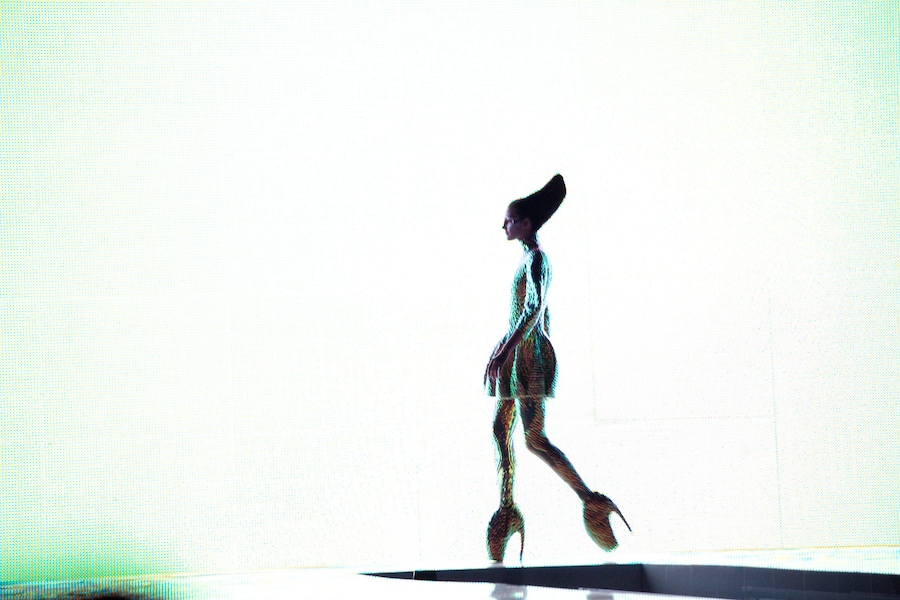 Jellyfish ensemble and Armadillo shoes, Alexander McQueen