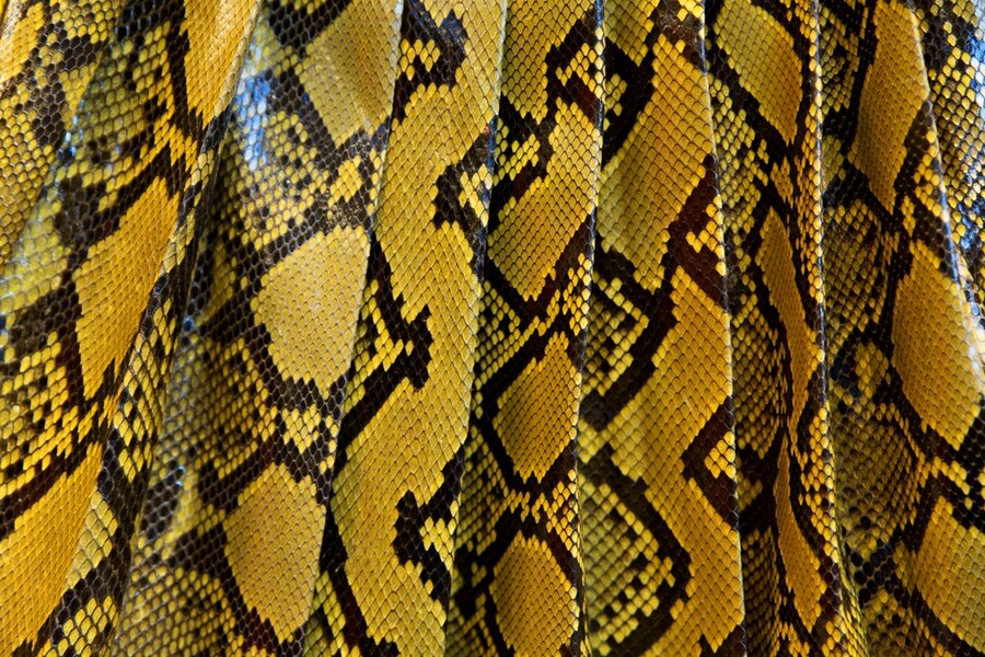 Miu Miu A/W15