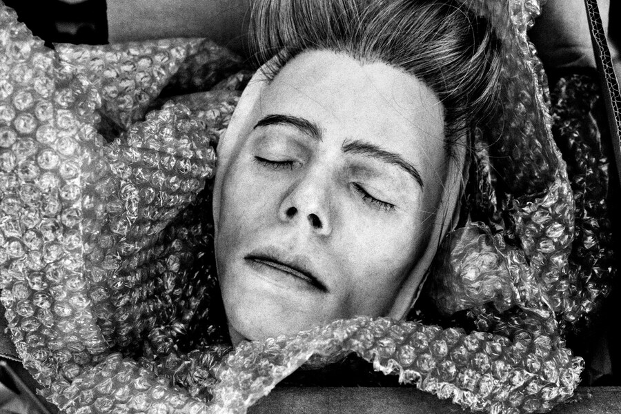 Masker David Bowie, Montreal, 2013