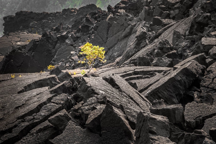 Kilauea Iki, Hawai’i