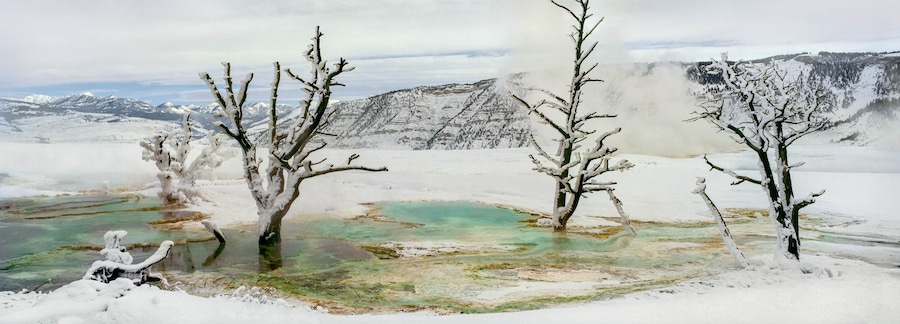 Mammoth Hot Springs, Yellowstone National Park