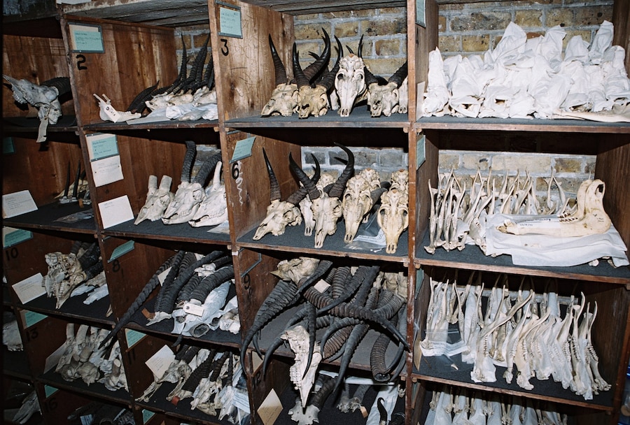 tomjohnson-another011