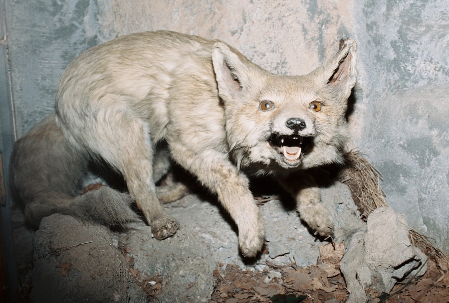 tomjohnson-another013