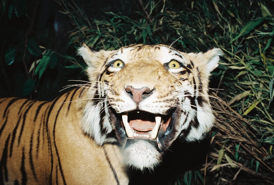 tomjohnson-another015