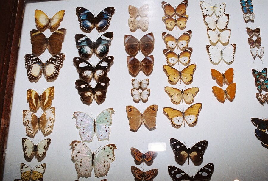 tomjohnson-another017