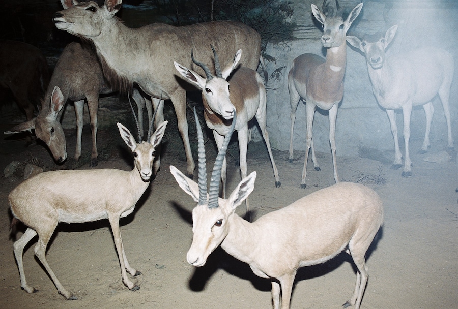 tomjohnson-another020