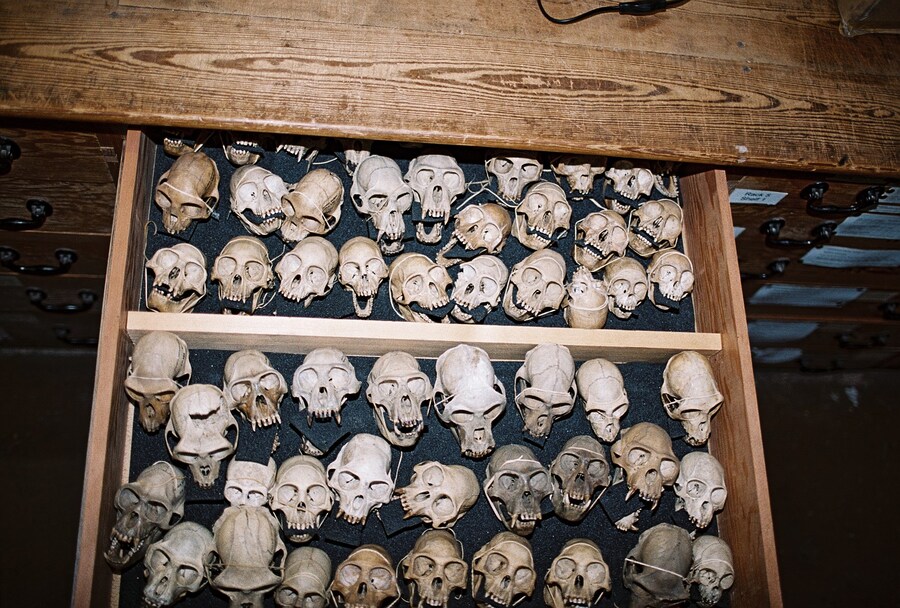 tomjohnson-another021