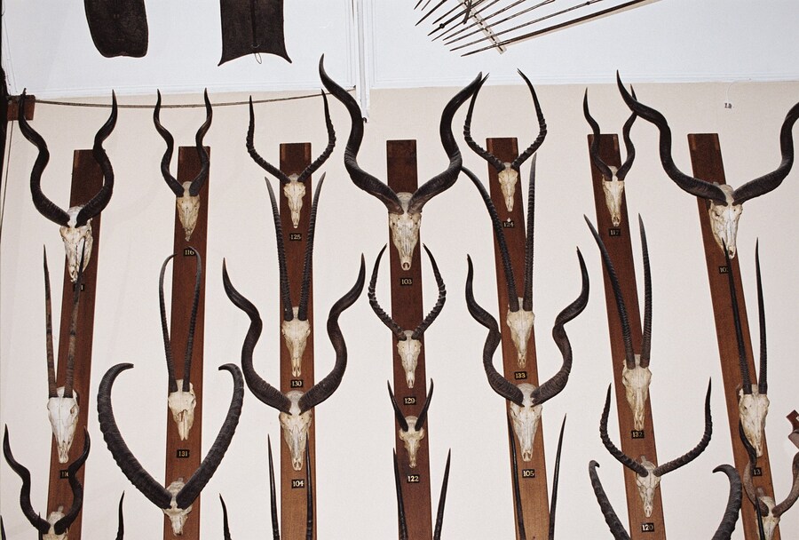 tomjohnson-another026