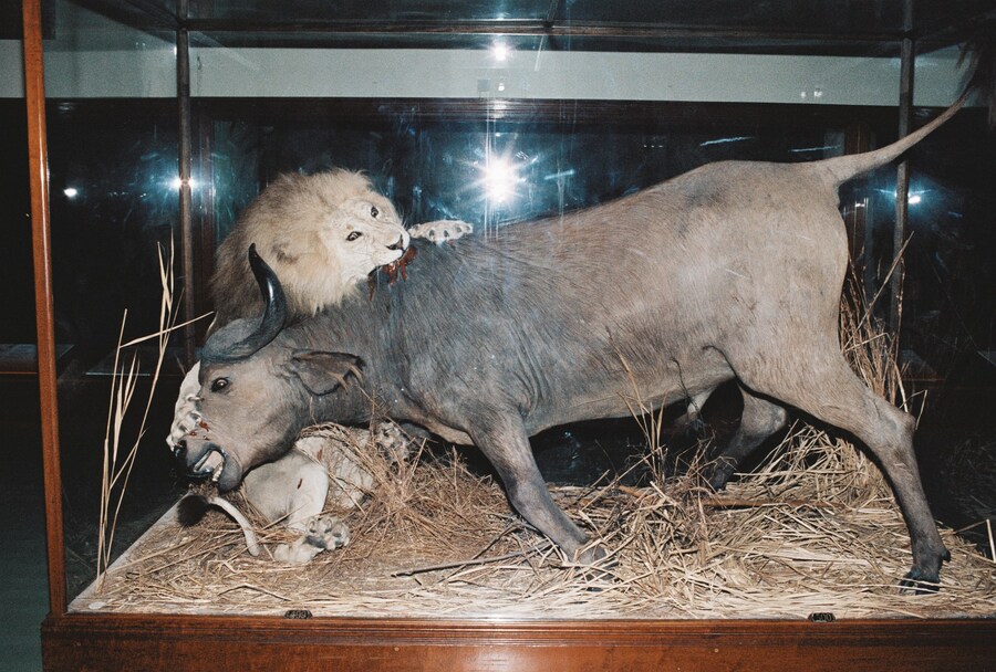 tomjohnson-another022