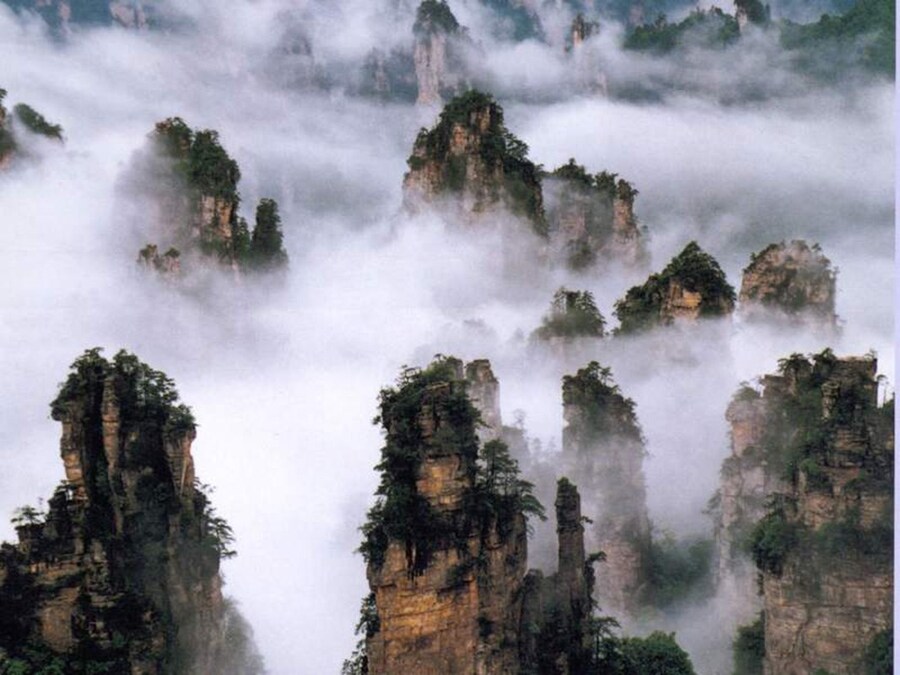 zhangjiajie-national-forest-park-470930