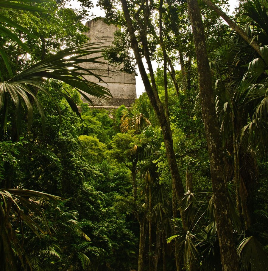 Where On Earth: Tikal Graeme Churchard