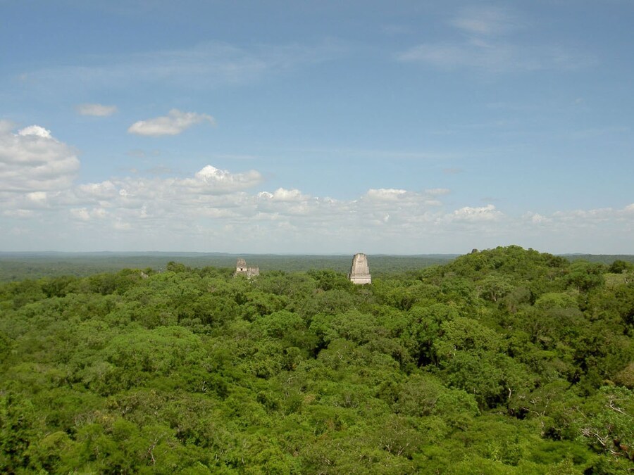 Where On Earth: Tikal Mike Murga