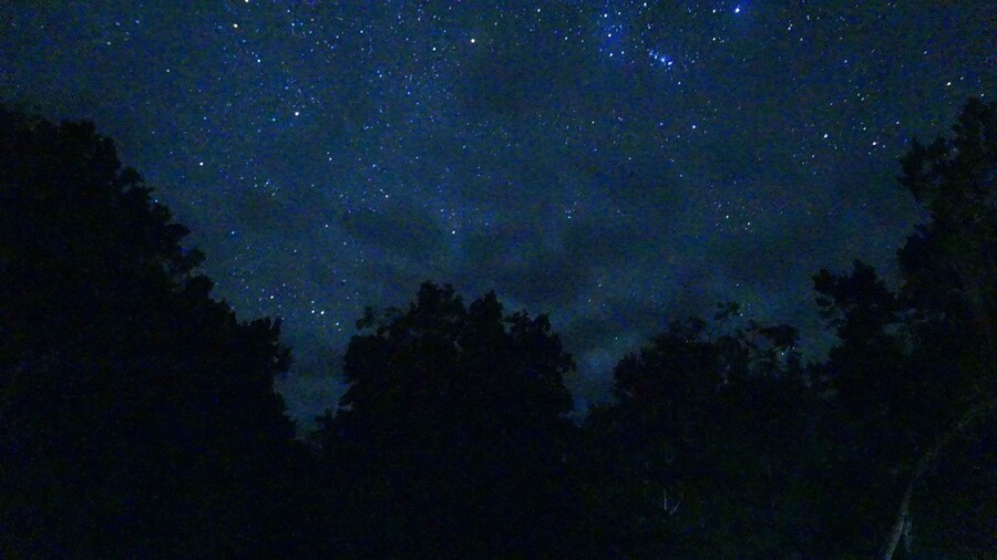 Where On Earth: Tikal Sara Fratti