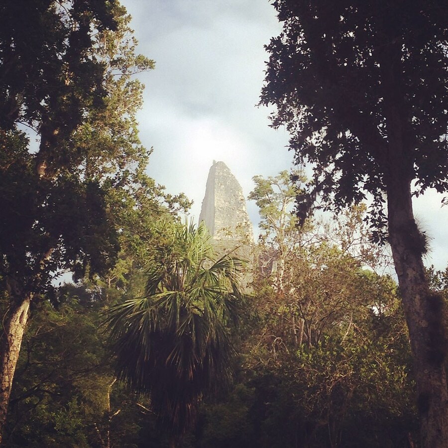 Where On Earth: Tikal Super-collider