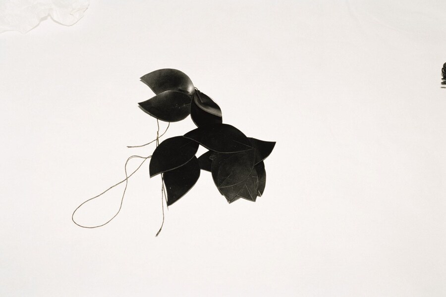 FLOATING | FALLING | DROWNING | FLYING