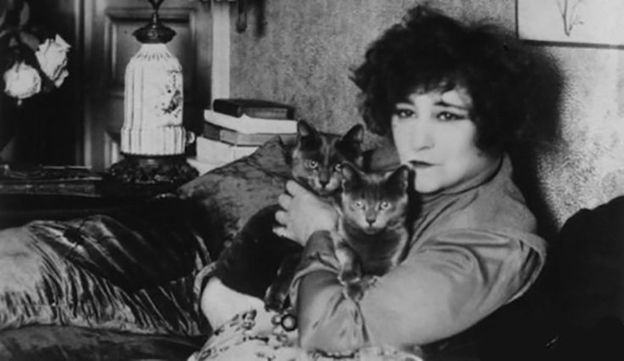 Colette Cats 3