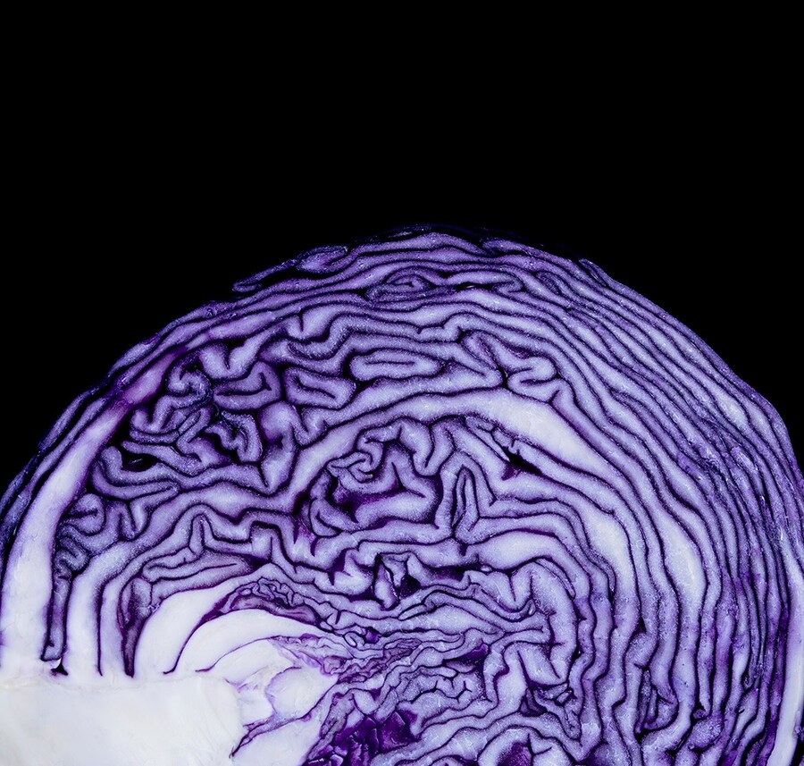 PATTERNITY_W_L1779