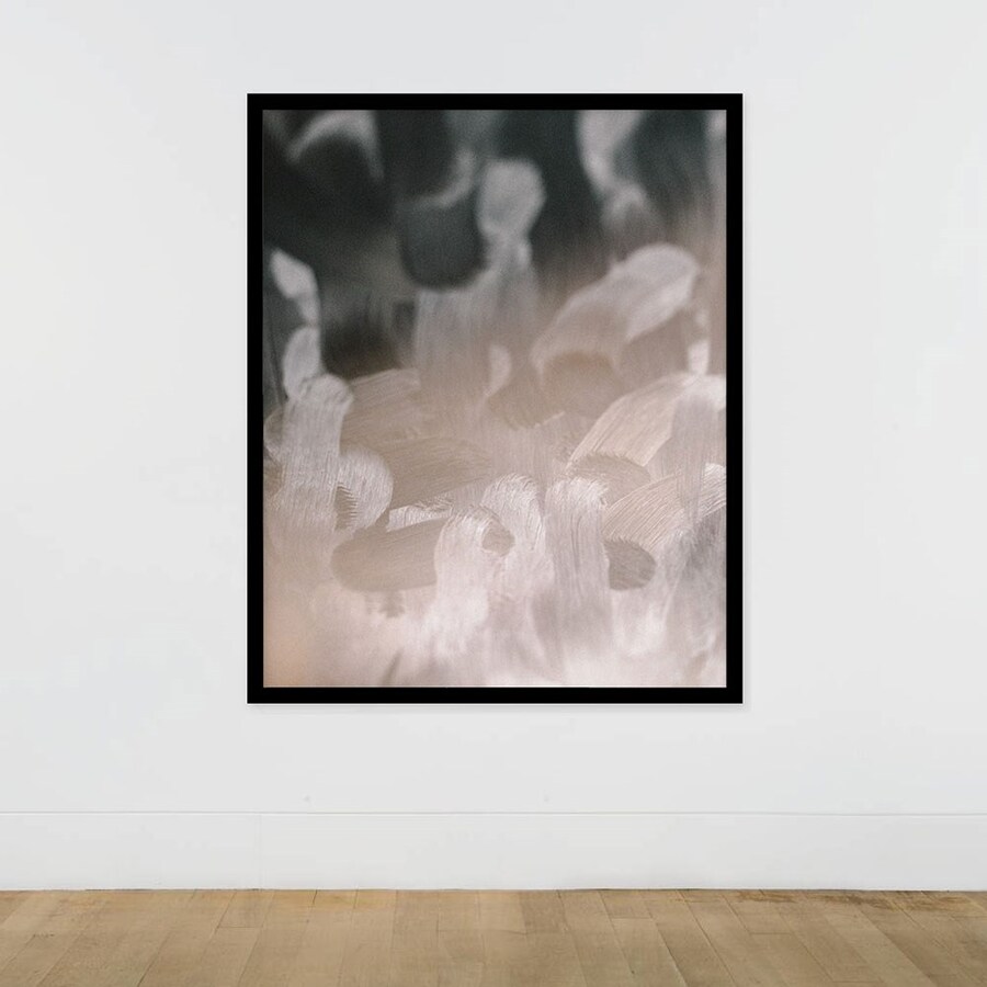 Instagram Photography by Hamish Robertson