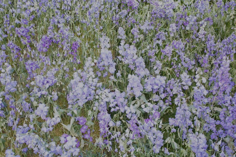 Christian Dior S/S16