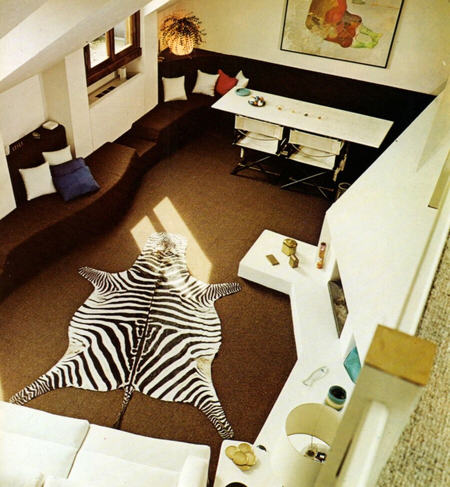 Zebra-4