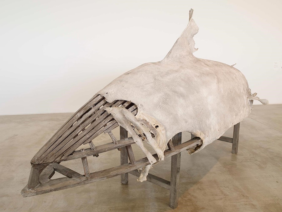 Dorothy-Cross,-Basking-Shark-Currach,-2013