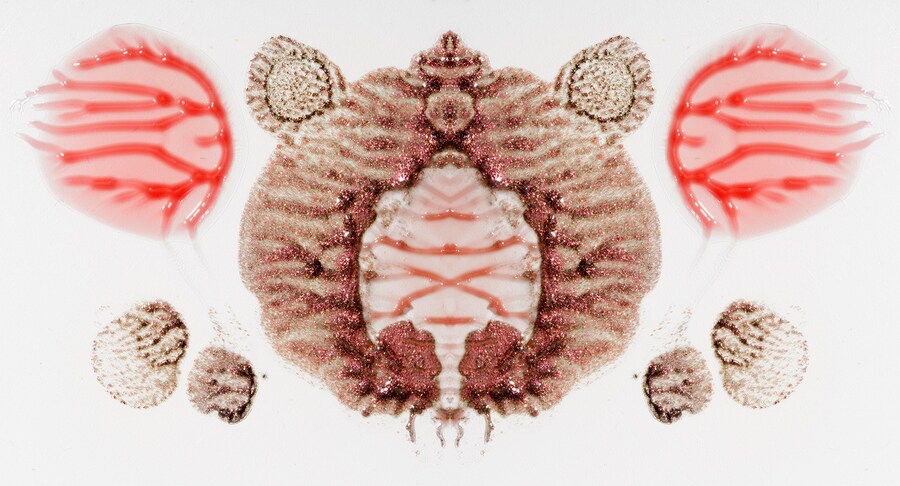 AVBLP-Blot-Test-05