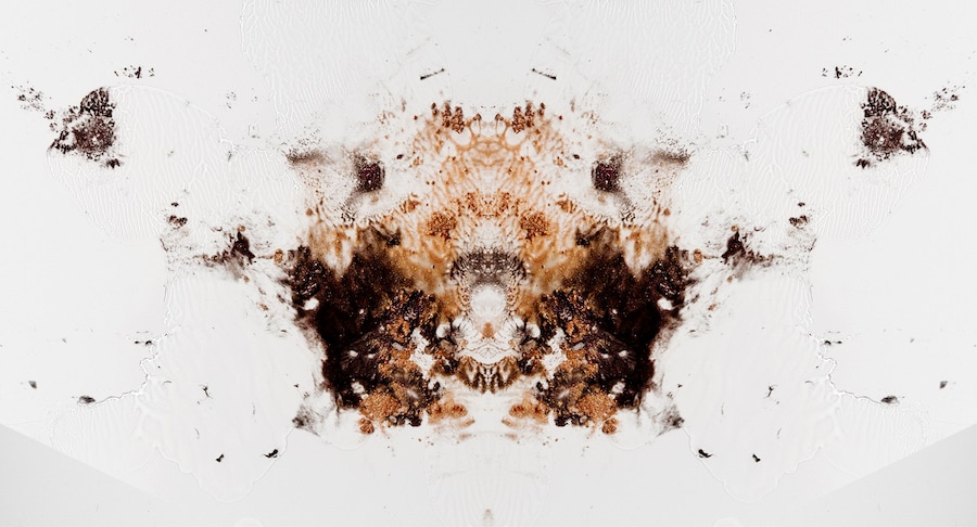 AVBLP-Blot-Test-11