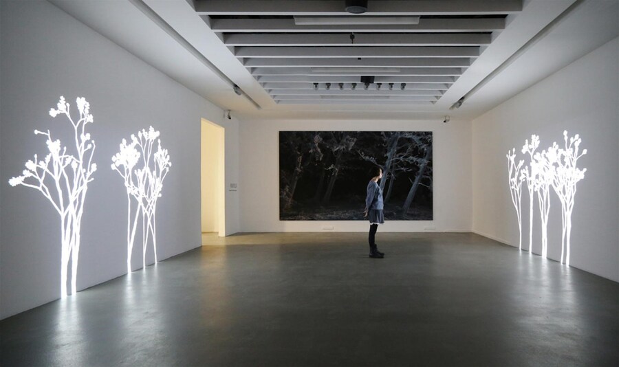 Lightweeds-SimonHeijdens-AKBANK_SANAT-Dec2015-Land