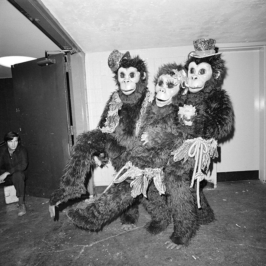 197_77_04_ringling_circus_3_monkey_clowns_smr
