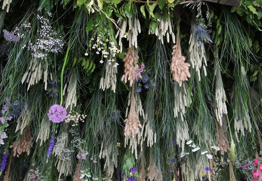 Rebecca_Louise_Law_Meadow_02