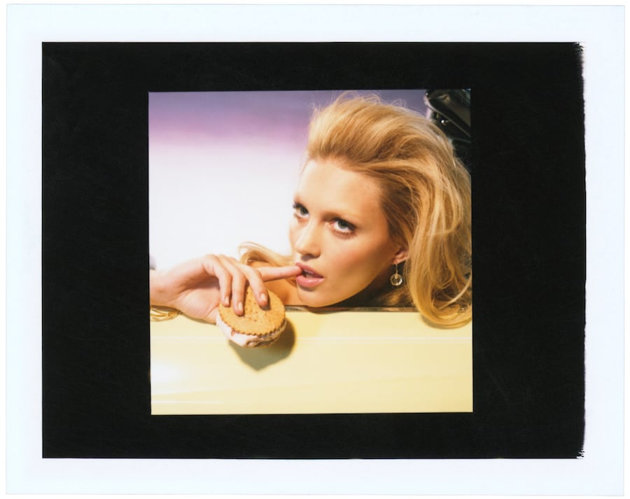 Trunk Food - study, 2007, courtesy of Miles Aldrid