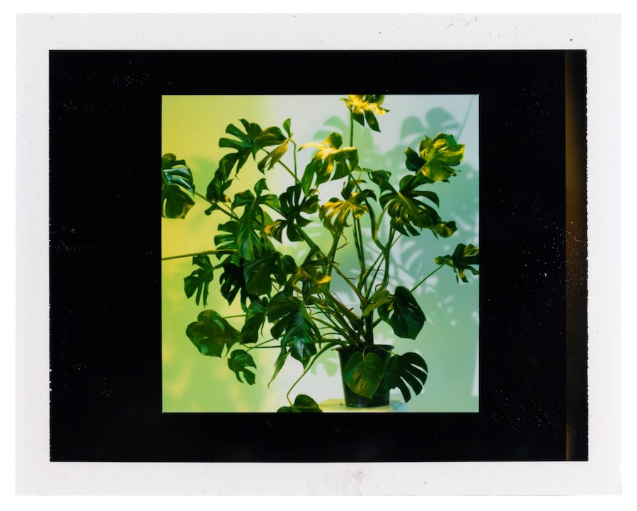 Waiting Room - Study, 2006, courtesy of Miles Aldr