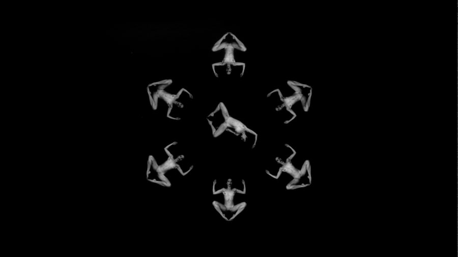 Elcott_chp6_005c Bolimorfia