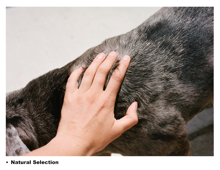 Polly Brown&#39;s Theories 