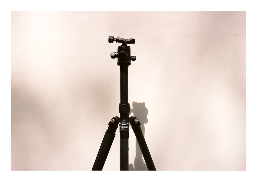 Polly Brown Presents a Photo Study on Sex 