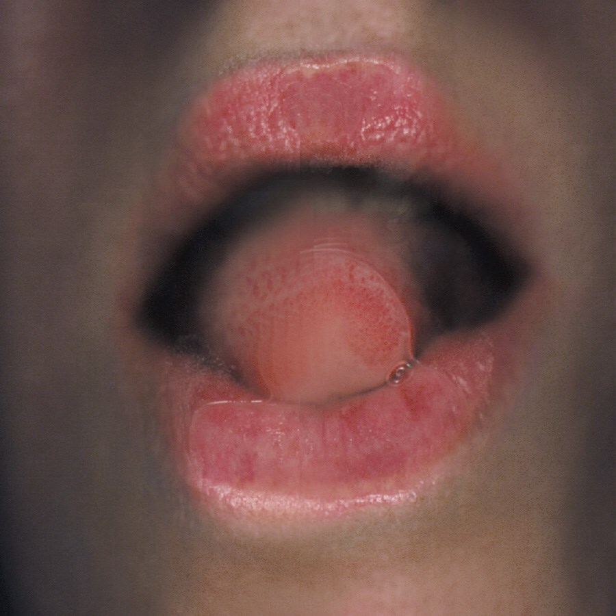 10 - AUTO PORTRAIT ORAL 