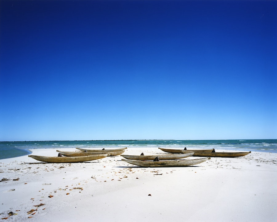 Fish, 2012, Madagascar, (c) Scarlett Hooft Graafla