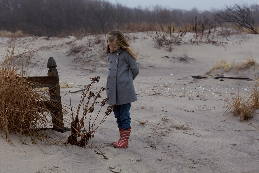 Neighbors by Roe Ethridge