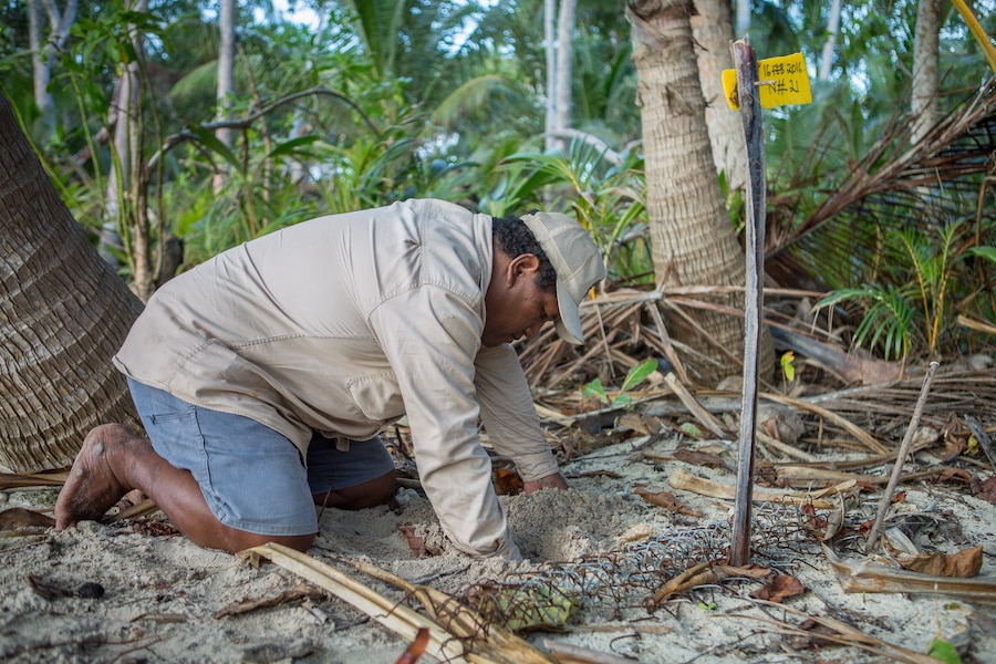 CheckinNest_(c)TimCalver