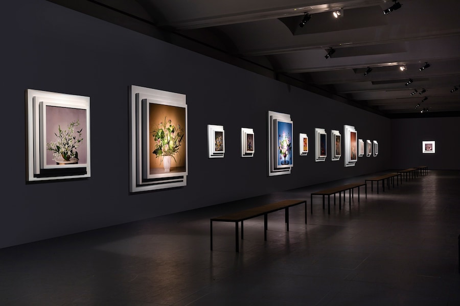 161115-Botanico-6-sin-DEF