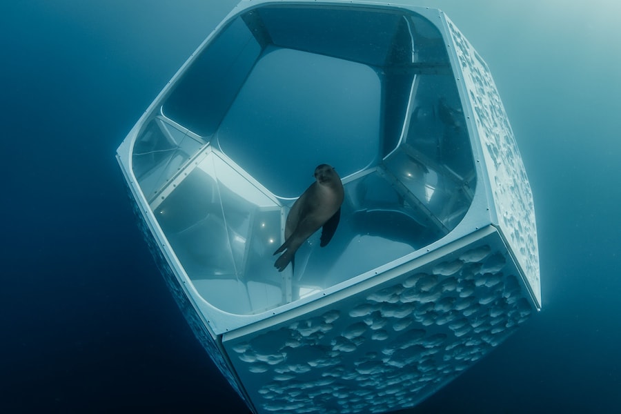 20161105-104959-A008_C010_1105SJ.3415.0003415_S000