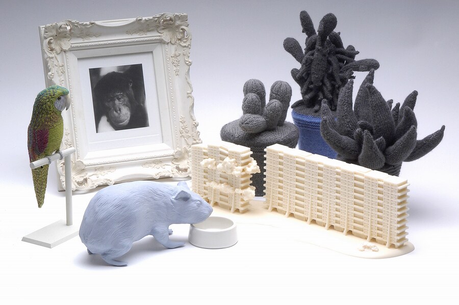 Daphne Wright, Home Ornaments, 2002-06