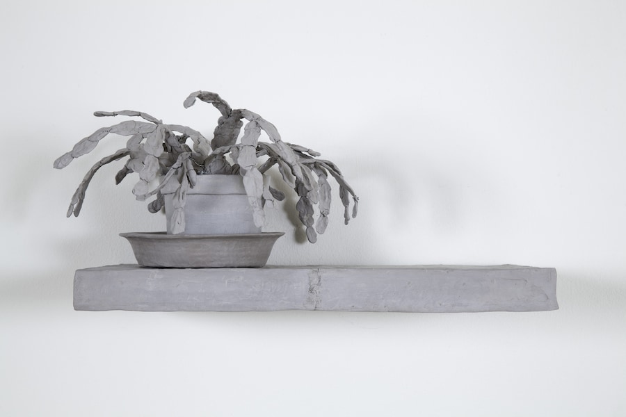 Daphne Wright, Still Life Plant, 2014