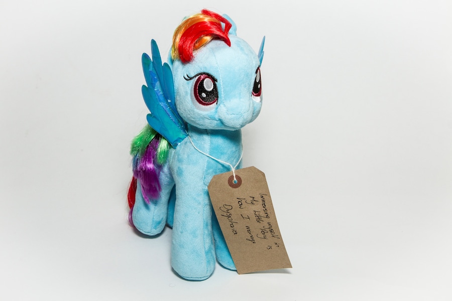 Museum of Transology Object Images by Katy Davies 