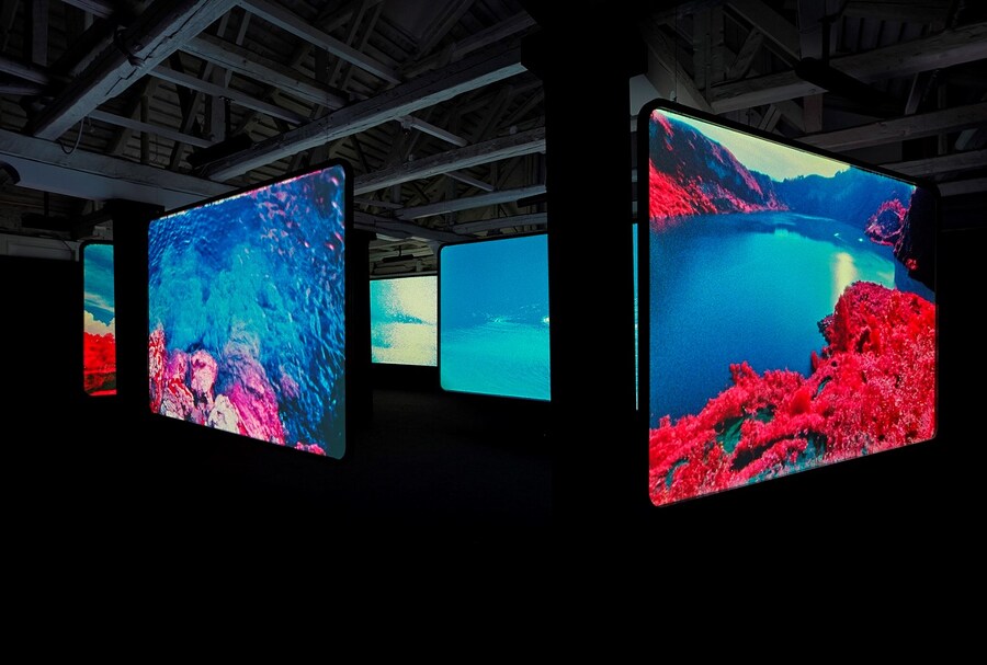 12. Richard Mosse, The Enclave installation Venice